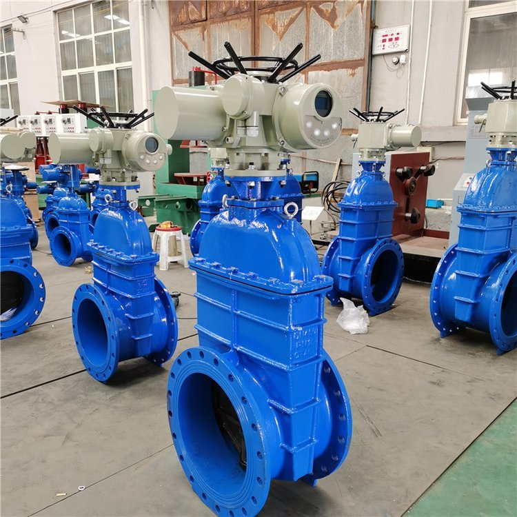 电动闸阀Z941h -64 DN500（石化行业、炼油厂、化工厂）