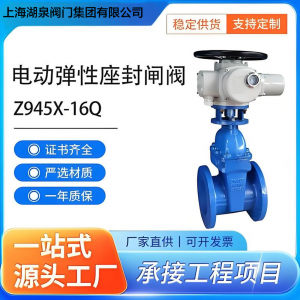 软密封电动闸阀Z945X-16Q  DN200(型号及规格