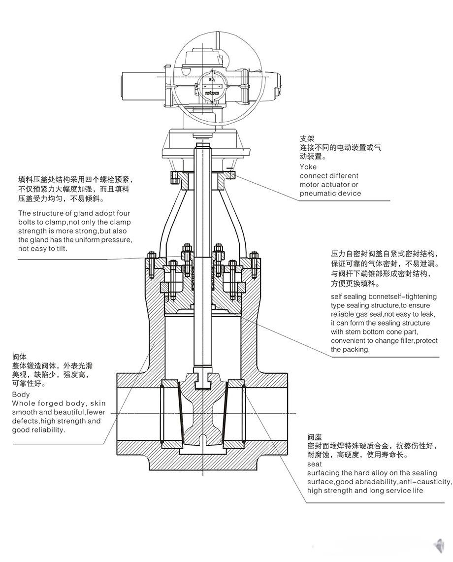 高温高压闸阀